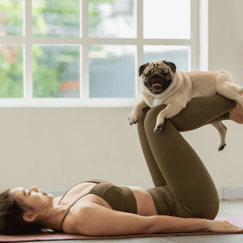 yoga-dog-wup-10